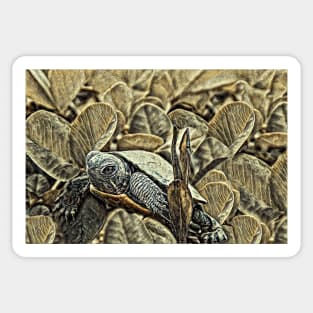 Turtle Hatchling 1E Sticker